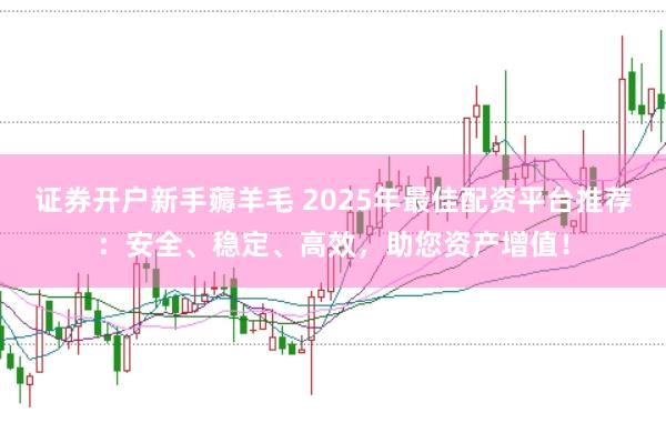 证券开户新手薅羊毛 2025年最佳配资平台推荐：安全、稳定、高效，助您资产增值！