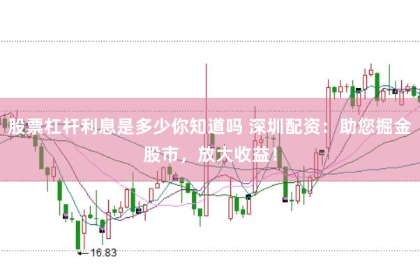 股票杠杆利息是多少你知道吗 深圳配资：助您掘金股市，放大收益！