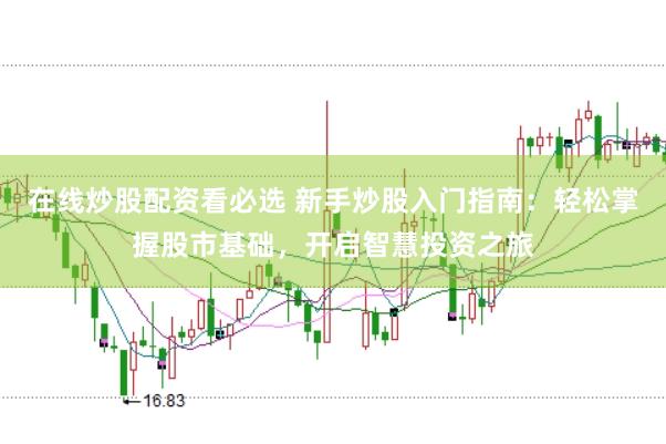 在线炒股配资看必选 新手炒股入门指南：轻松掌握股市基础，开启智慧投资之旅